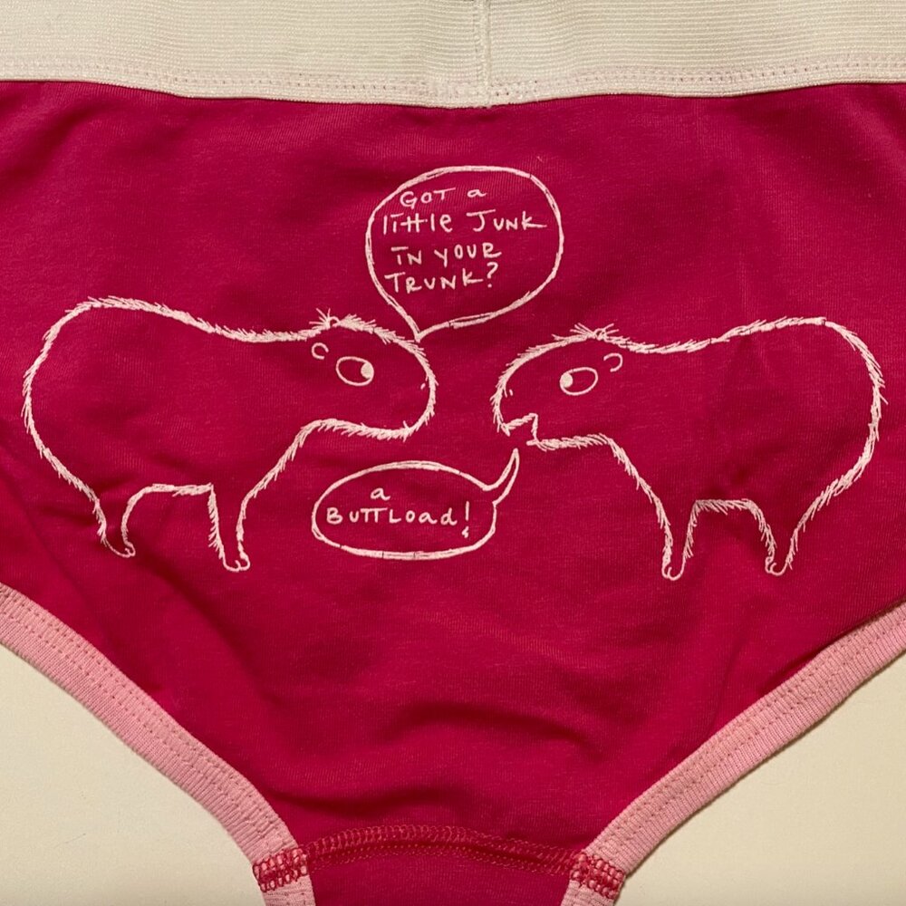 Pink Capybara Low Rise Panty - Color Me Classy (Etsy Seller) NWOT